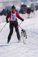 Lenk 2013